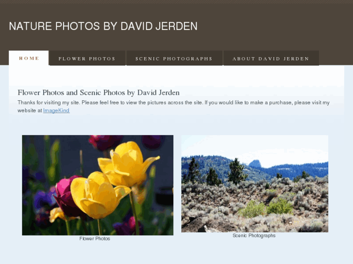 www.davidjerden.com
