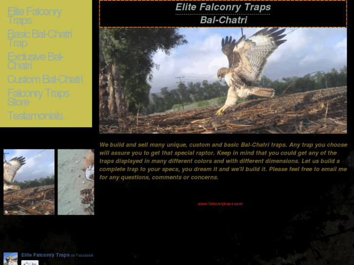 www.falconrytraps.com