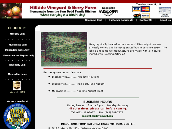 www.hillsidevineyard.com