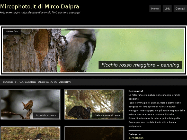 www.mircophoto.it