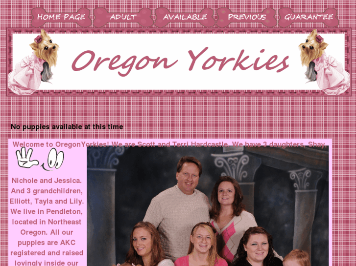 www.oregonyorkies.com