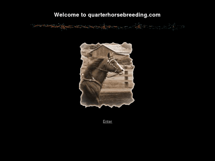 www.quarterhorsebreeding.com