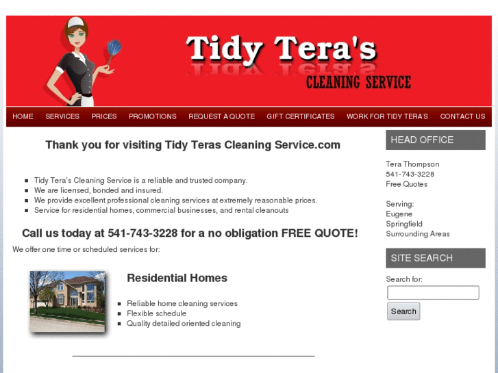 www.tidyterascleaningservice.com