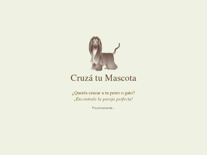 www.cruzatumascota.com