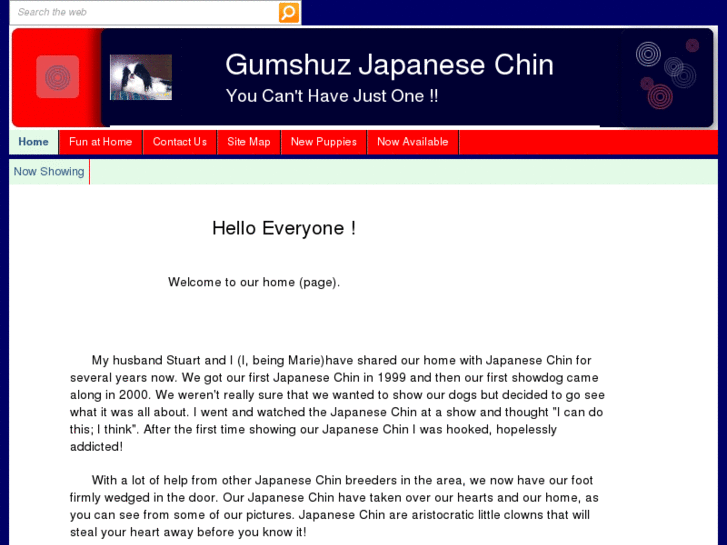 www.gumshuzchin.com