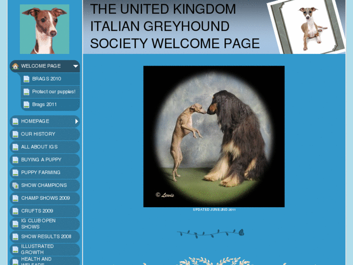 www.italiangreyhoundsocietyuk.com