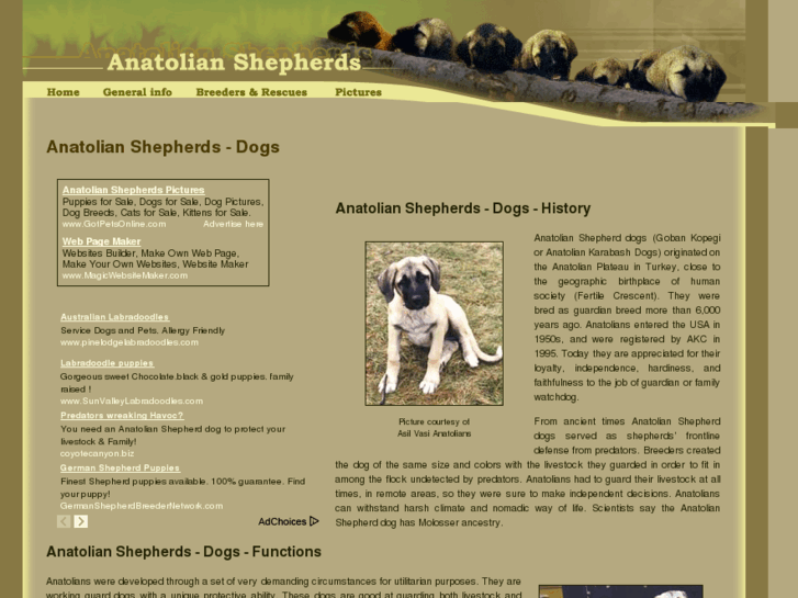 www.anatolian-shepherd-dogs.org