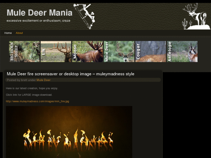 www.muledeermania.com