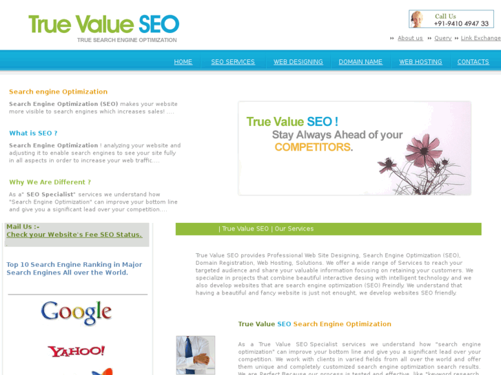 www.truevalueseo.com