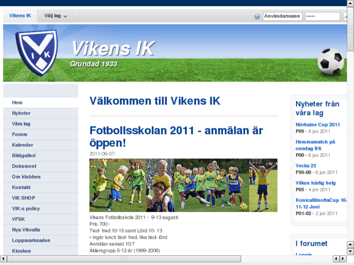 www.vikensik.com