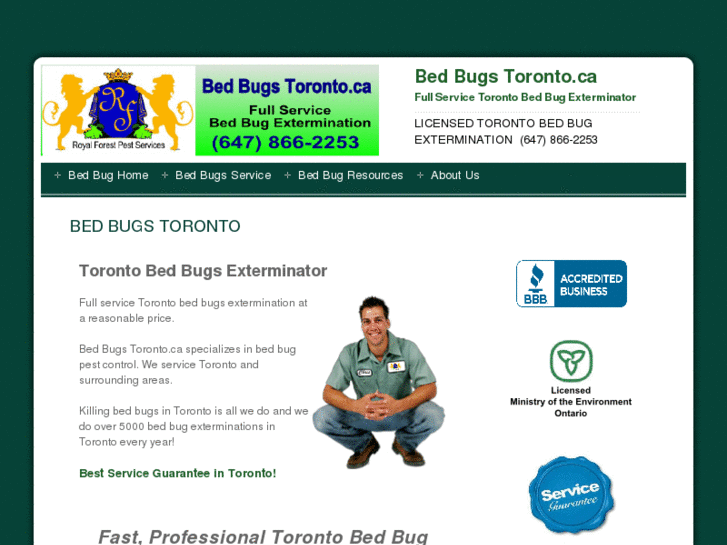 www.bed-bugs-toronto.ca