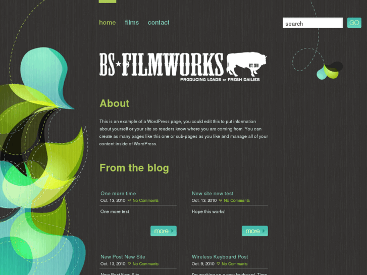 www.bsfilmworks.com