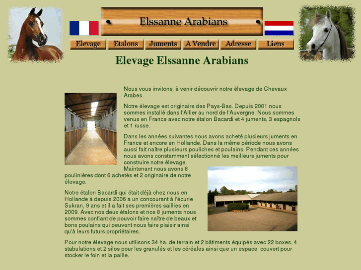 www.elssanne-arabians.com