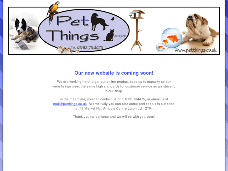 www.petthings.co.uk