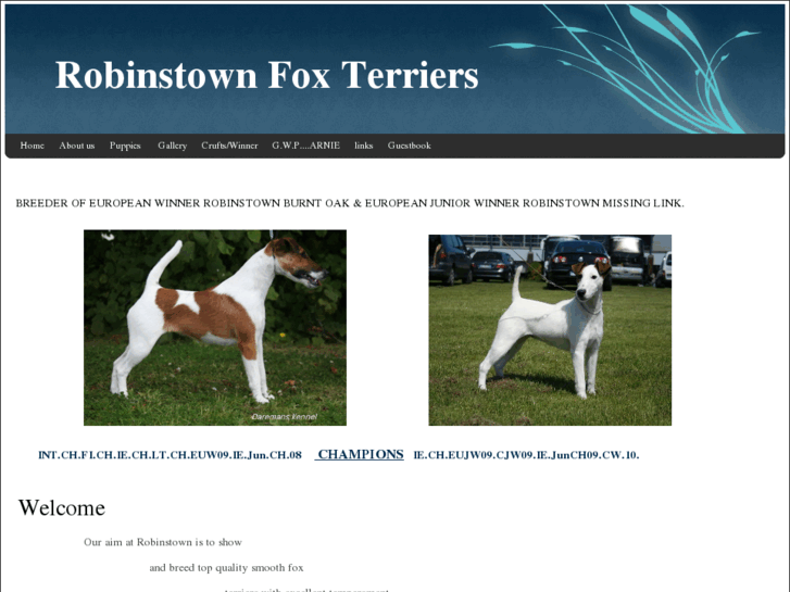 www.robinstownfoxterriers.com