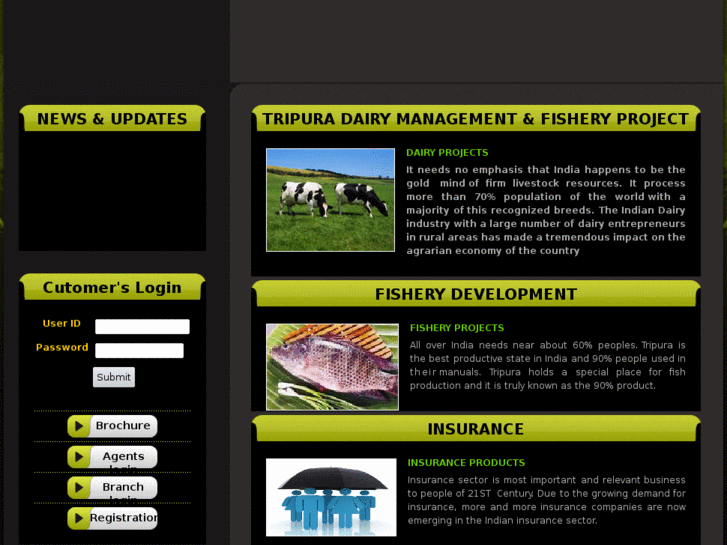 www.tdmfp.com