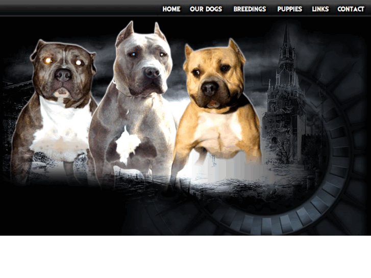 www.bluesteelbullies.com