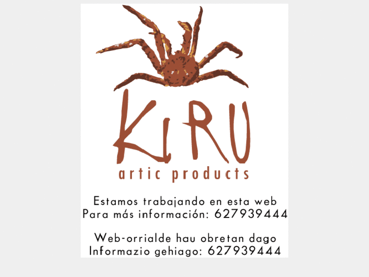 www.kiruartic.com