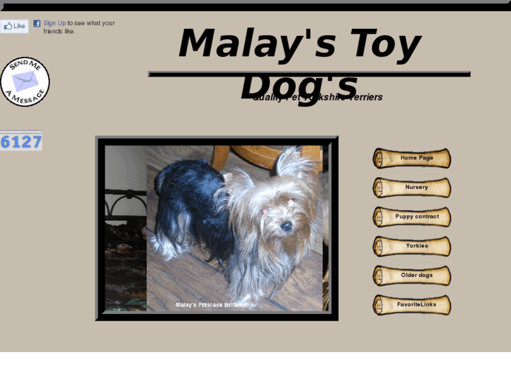 www.malaysshihtzus.com