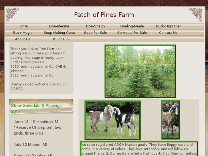 www.patchofpinesfarm.com
