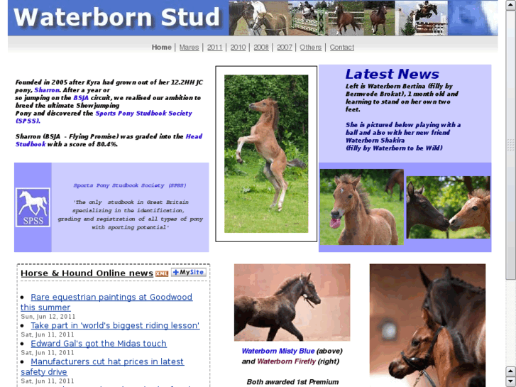 www.waterbornstud.com