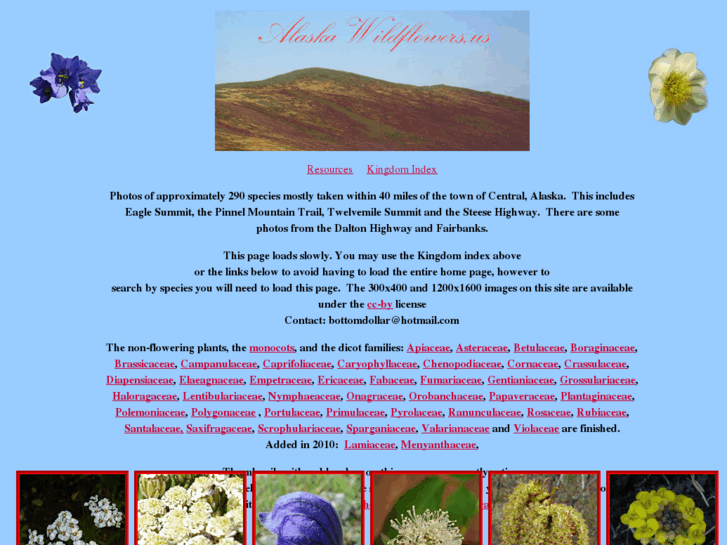 www.alaskawildflowers.us