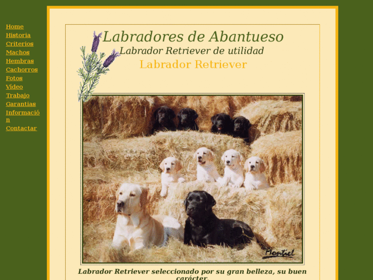 www.labradoresdeabantueso.com