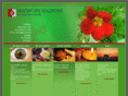 healthylifesolutions.net
