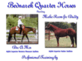 bednarekquarterhorses.com