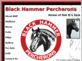 blackhammerpercherons.com