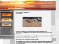 claycountycattlemen.com