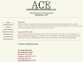 aceinvestigations.com