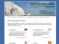 bassetconsultancy.com
