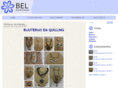 belarteproducao.com