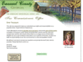 emanuelcountytax.com