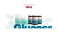 g-lenk.com