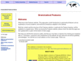 grammaticalfeatures.net