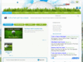 golfintci.net