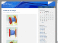 rgbracer.com