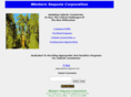 thecatholicfuneralplan.com