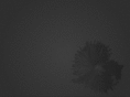 andretanure.com