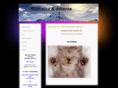massage-domicile-macon.com