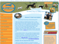 schoolfordogtrainers.com