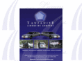 tanzanitelimo.com