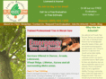 denvertreeservices.com