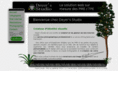 deyer-studio.com