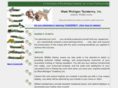 wmtinc.com