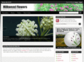 milkweedflower.com