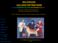 wildwoodk9.com