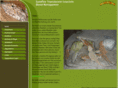 australian-reptiles.org